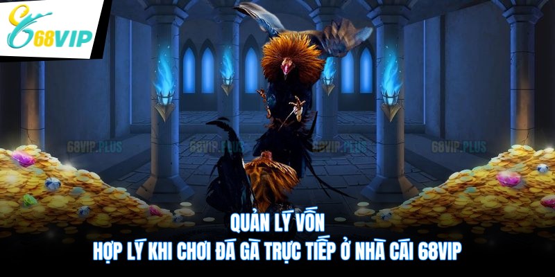 Quản lý vốn hợp lý khi chơi đá gà trực tiếp ở nhà cái 68VIP